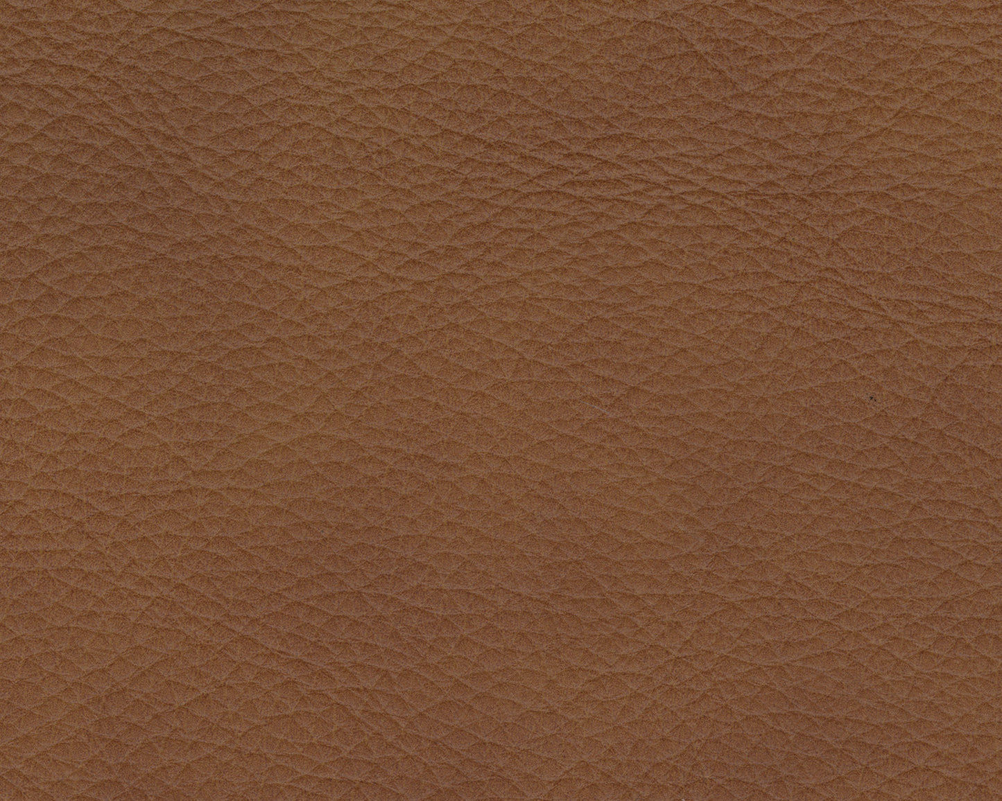 Rally-Up 5-Piece Power Reclining Sectional