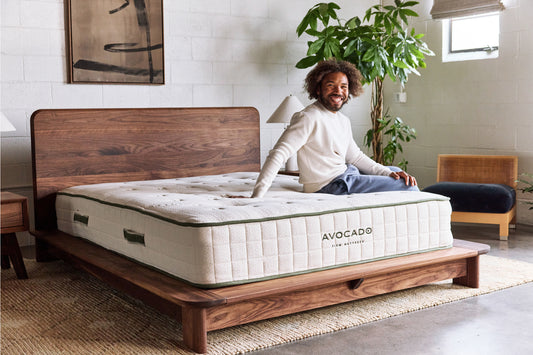 A man sits on an Avocado mattress on a wooden bed frame in a modern, sunlit bedroom. The mattress has a quilted cream-colored top and side with green trim, and the brand name 'AVOCADO' is clearly visible on the side panel. - alternate view