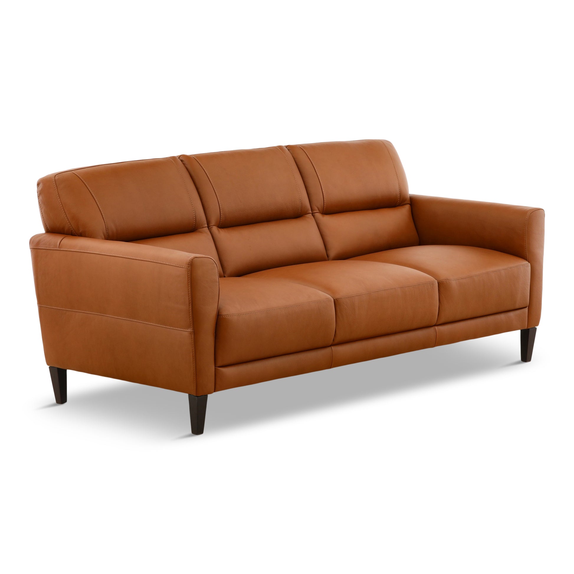 Indimenticabile Leather Sofa