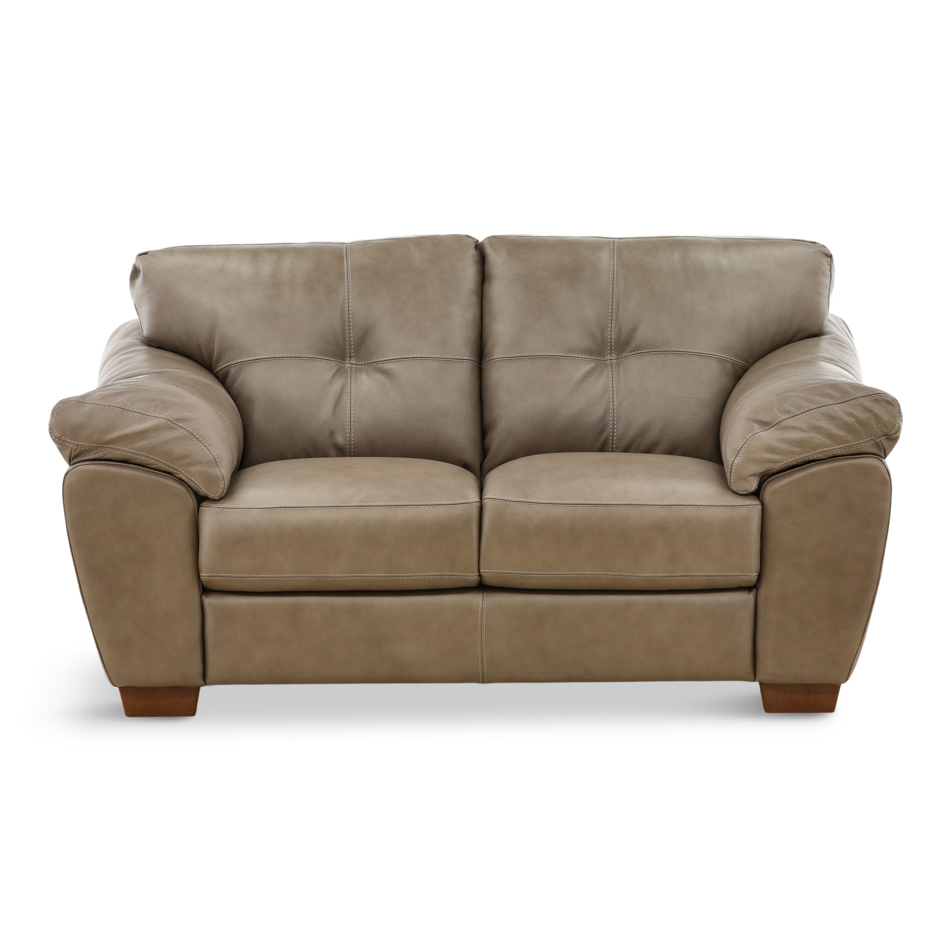 Camy Leather Loveseat