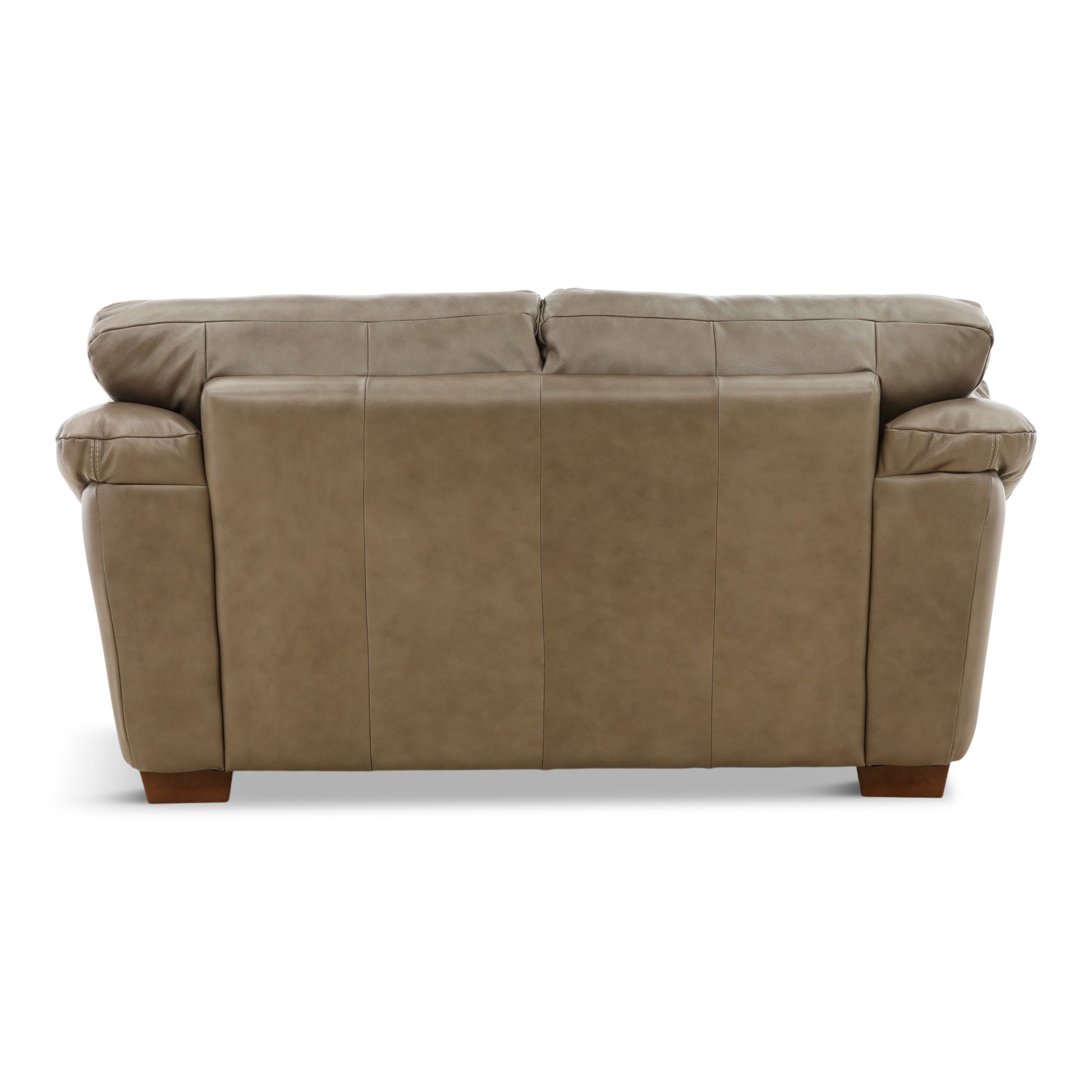 Camy Leather Loveseat