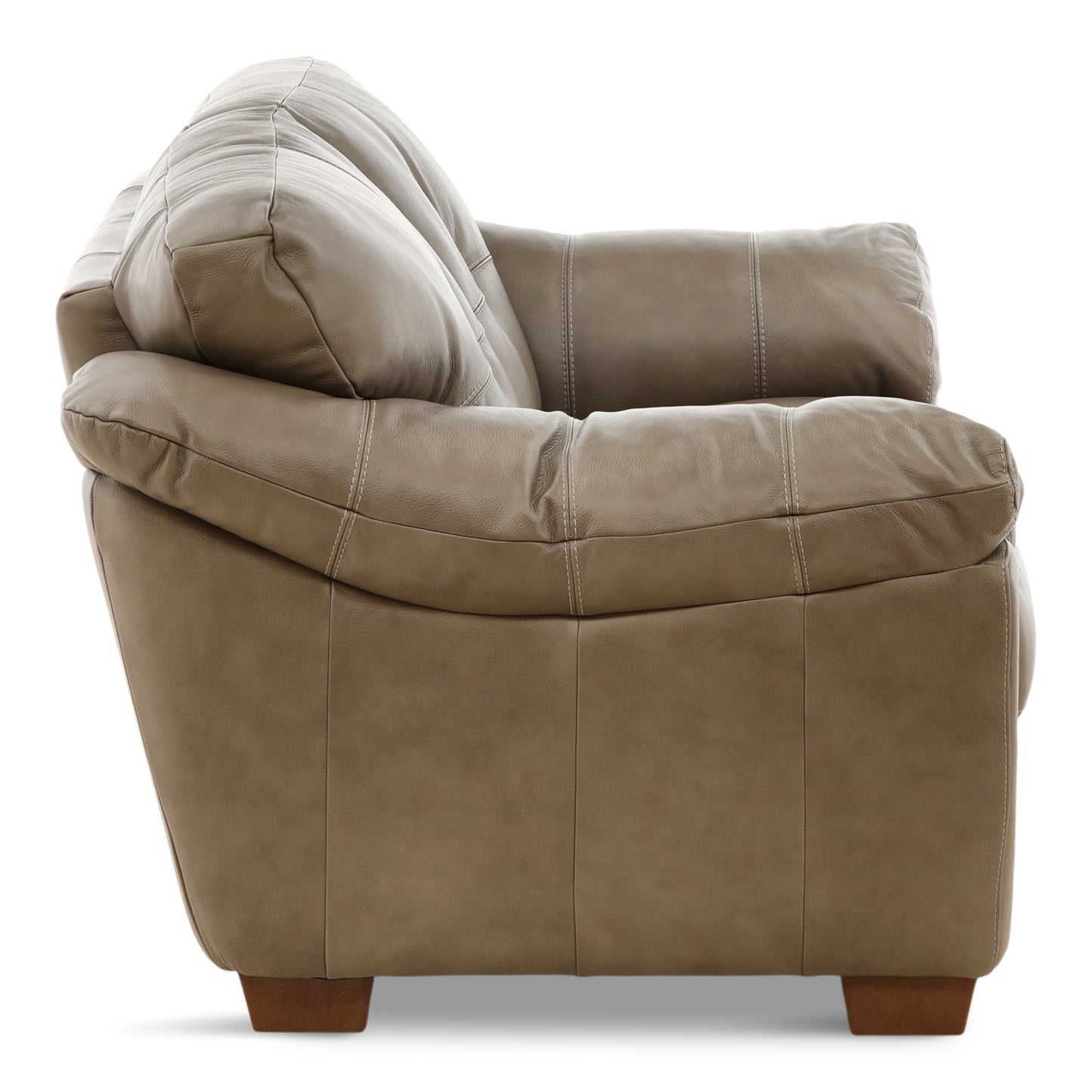 Camy Leather Loveseat