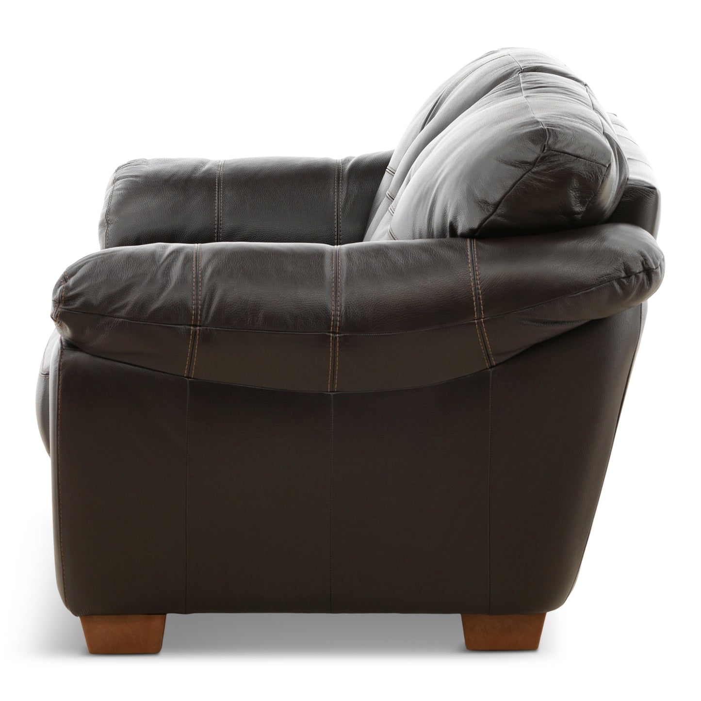 Camy Leather Loveseat
