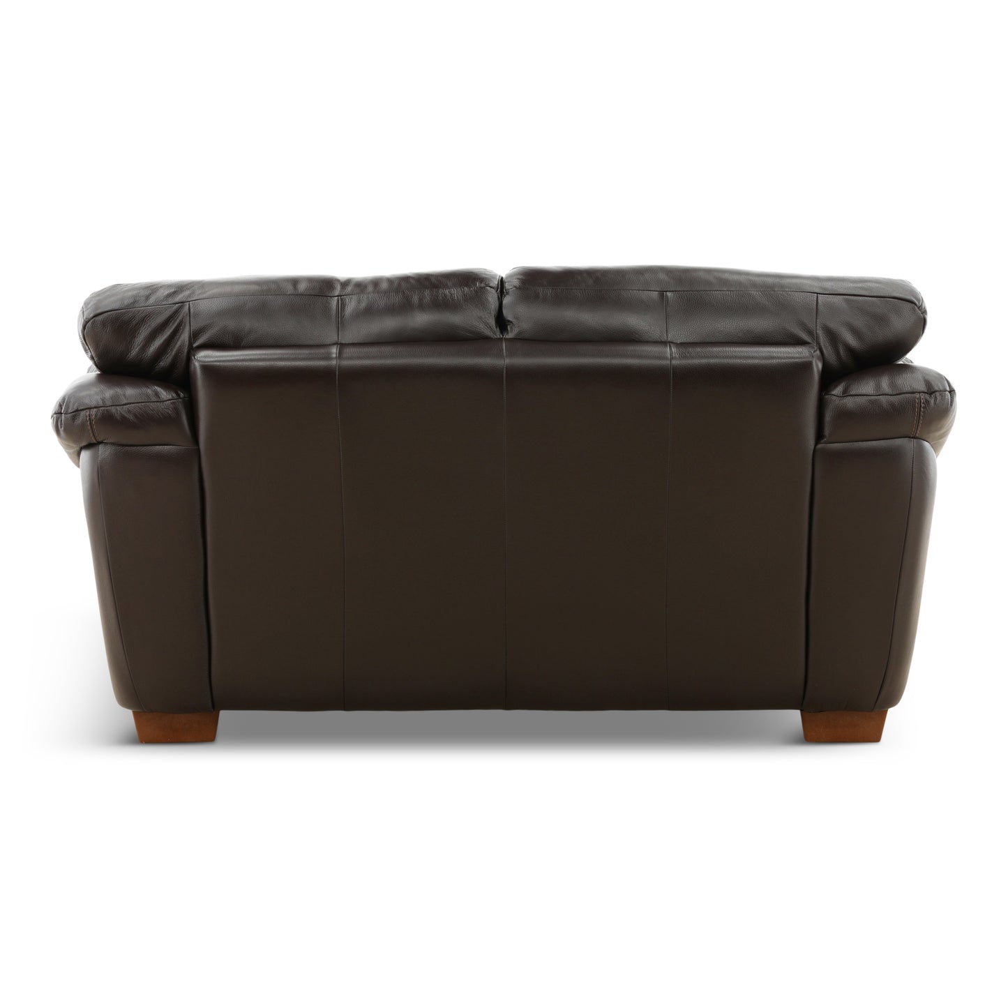 Camy Leather Loveseat