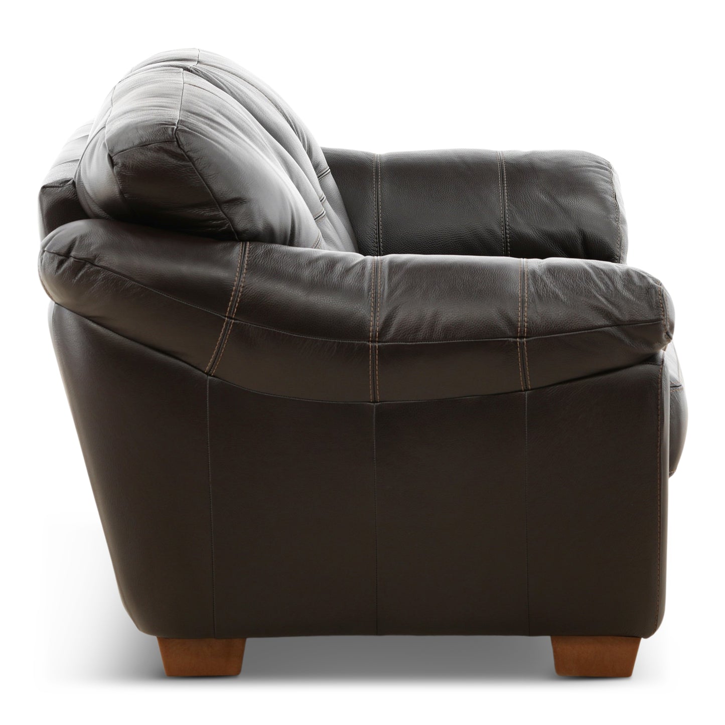 Camy Leather Loveseat