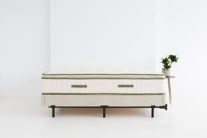 Avocado Green Medium Mattress
