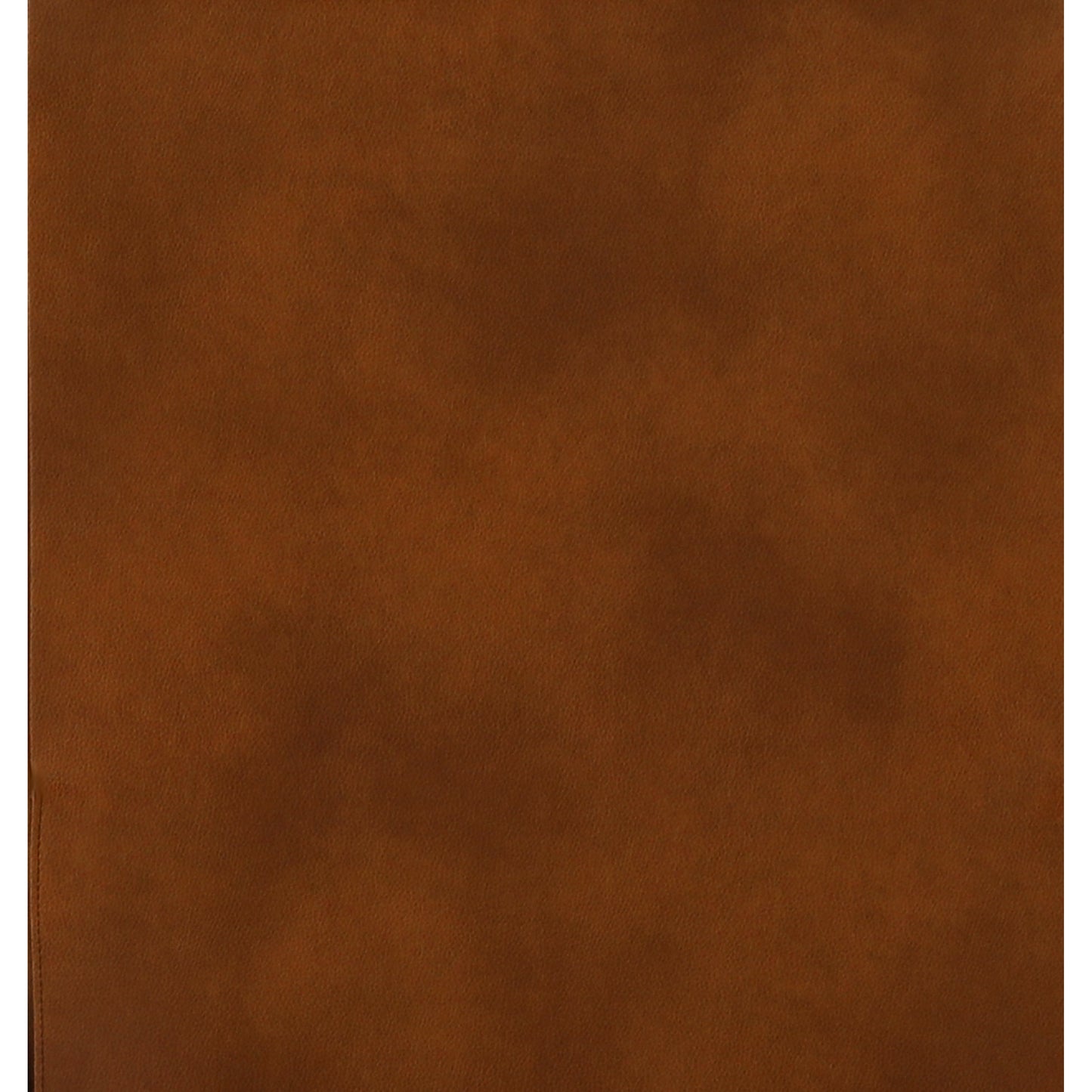 Falynn Leather Reclining Sofa