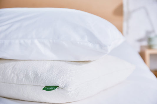 Avocado Organic Cotton Pillow Case