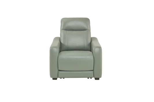 Newport Leather Power Recliner