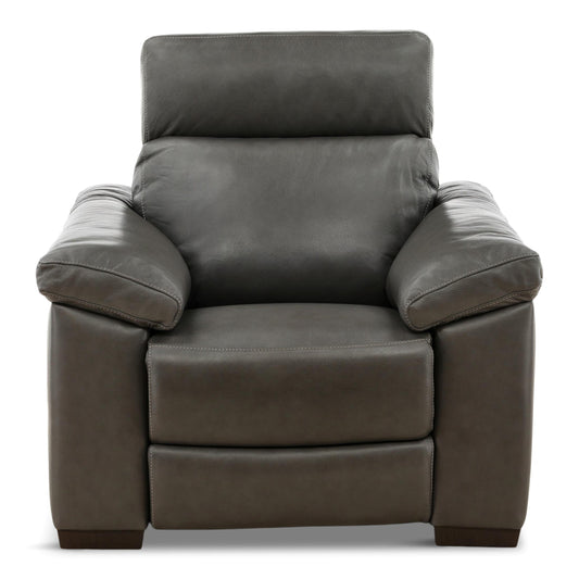 Estremo Leather Power Recliner