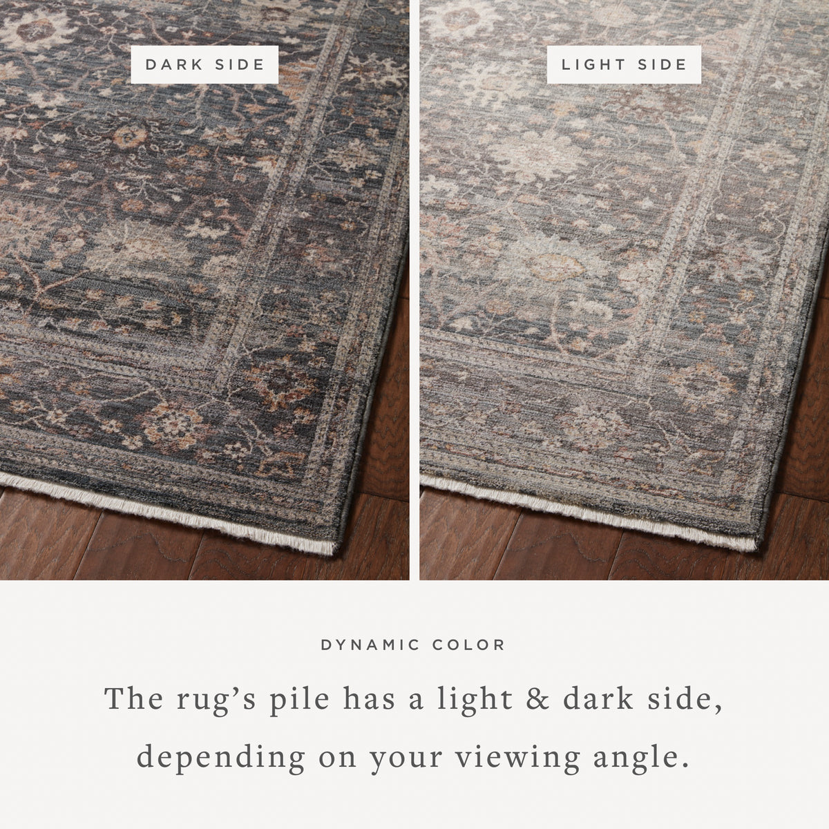 Lyra Ink/Multi-Colored Rug