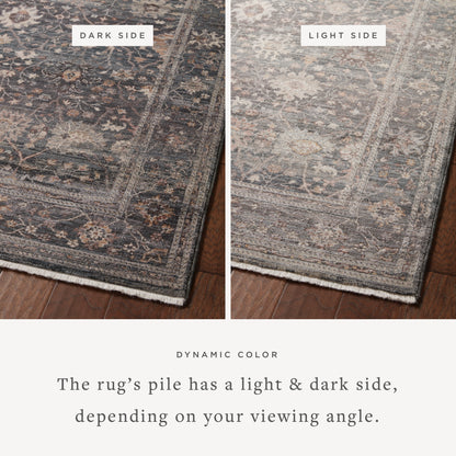 Lyra Ink/Multi-Colored Rug