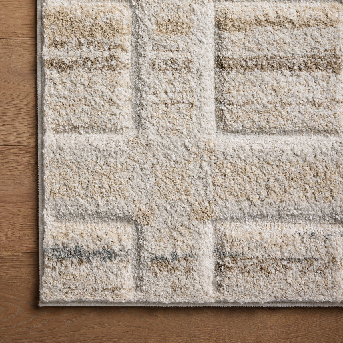 Silas Bone/Multi-Colored Rug