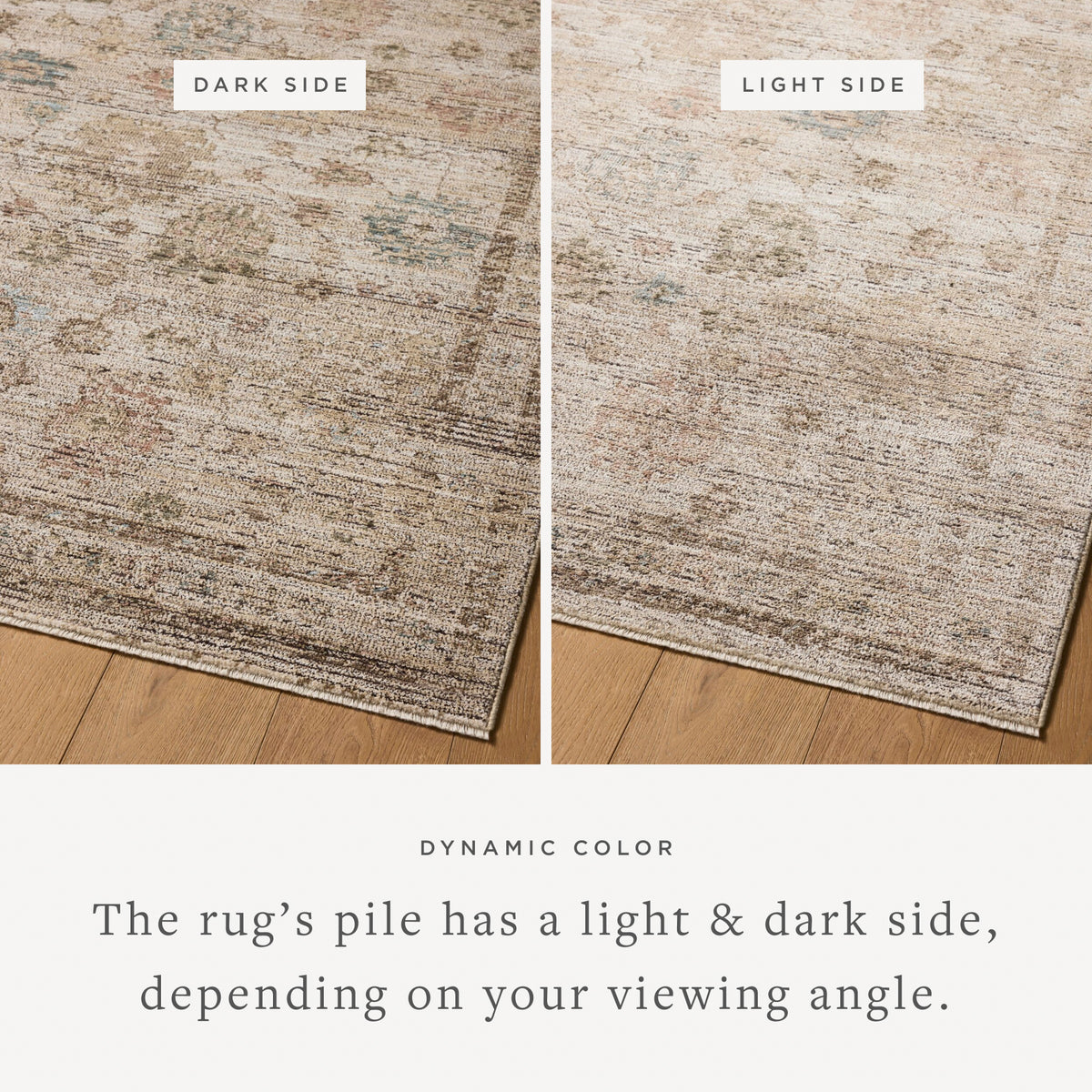 Priscilla Ivory/Multi-Colored Rug