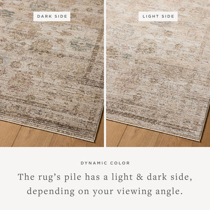 Priscilla Ivory/Multi-Colored Rug