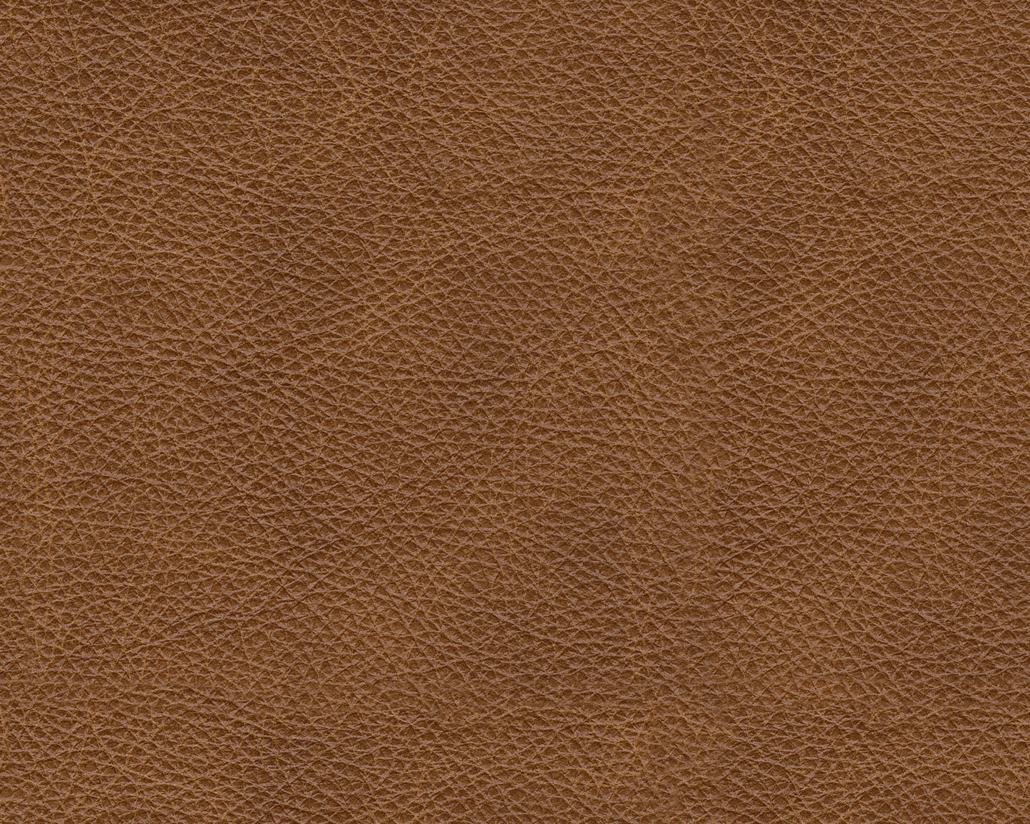 Carianna Loveseat