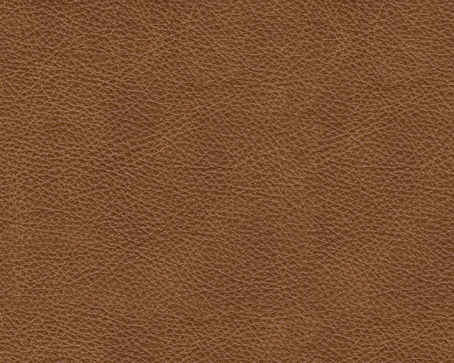Carianna Loveseat