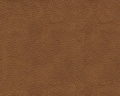 Carianna Loveseat