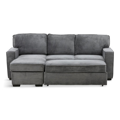 Amir 2-Piece Sectional with Sofa Bed