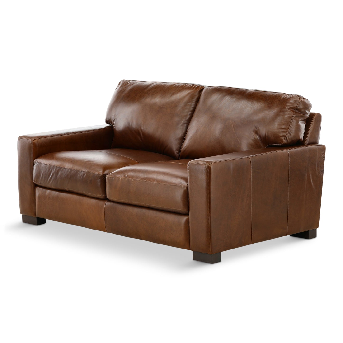 Riccardo Leather Loveseat