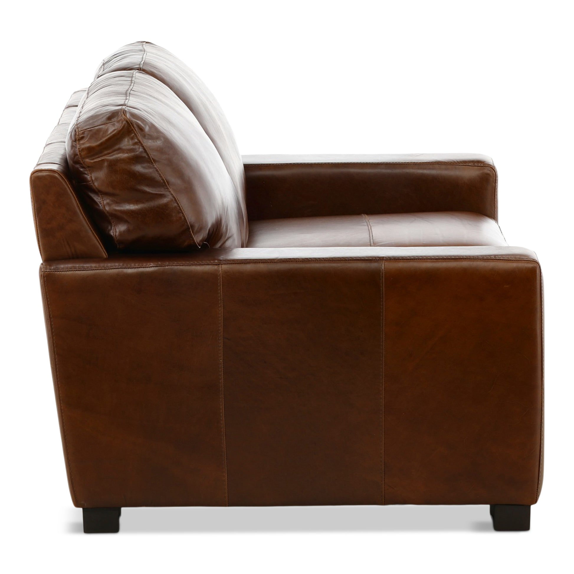 Riccardo Leather Loveseat