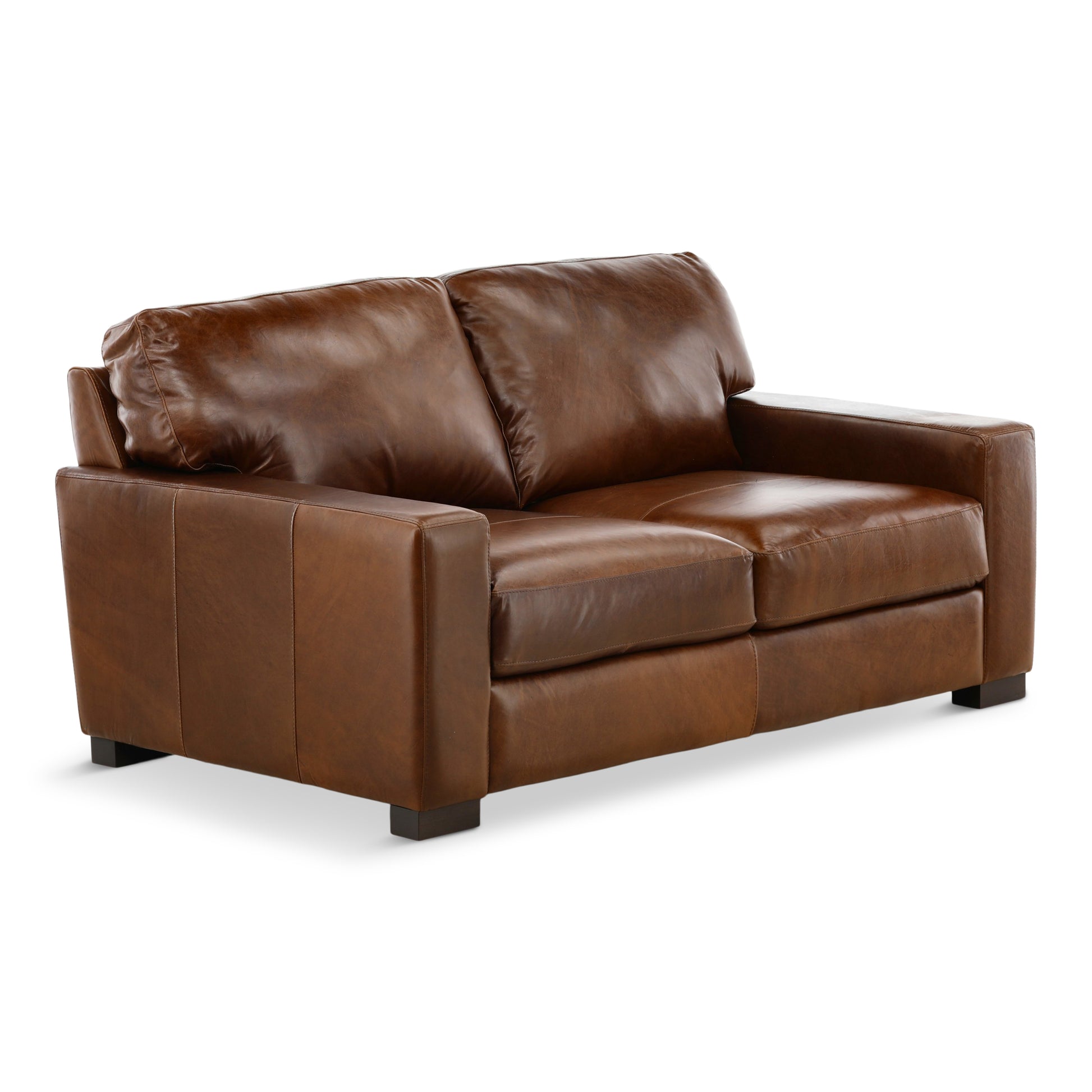 Riccardo Leather Loveseat