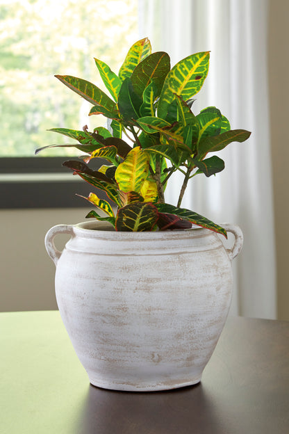 Ashley Meadie Vase with Handles
