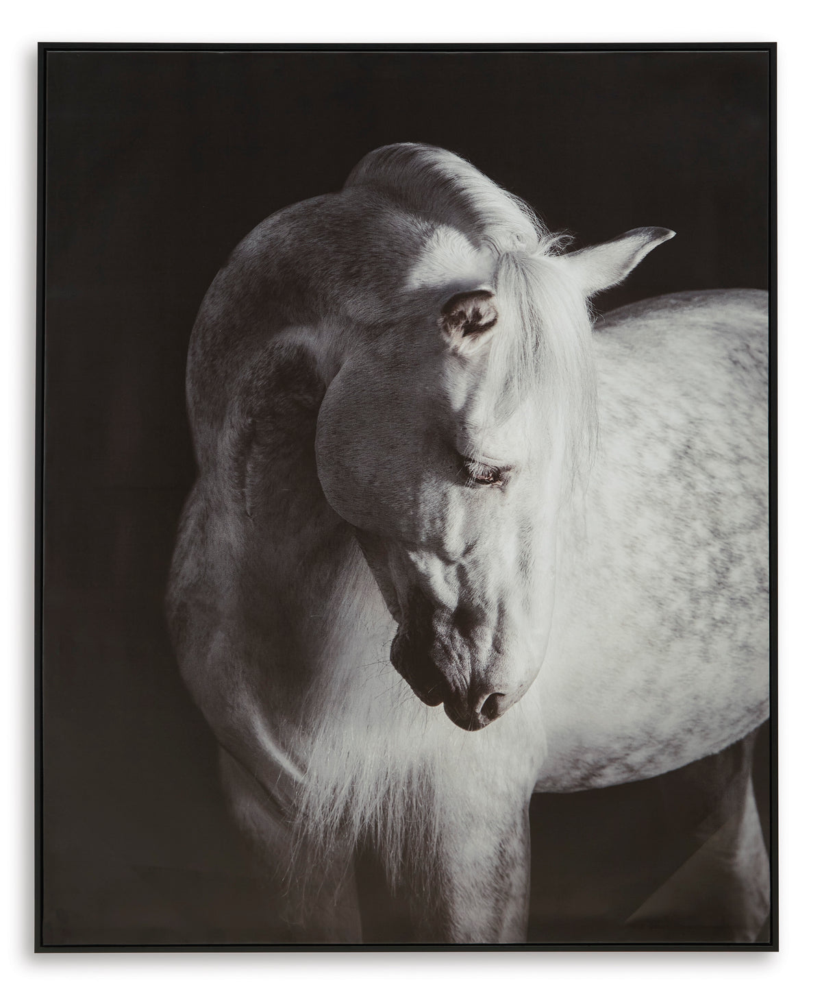 Ashley Archerwick Wall Art