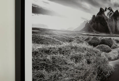 Ashley Delstone Wall Art