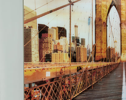 Ashley Shayward Wall Art