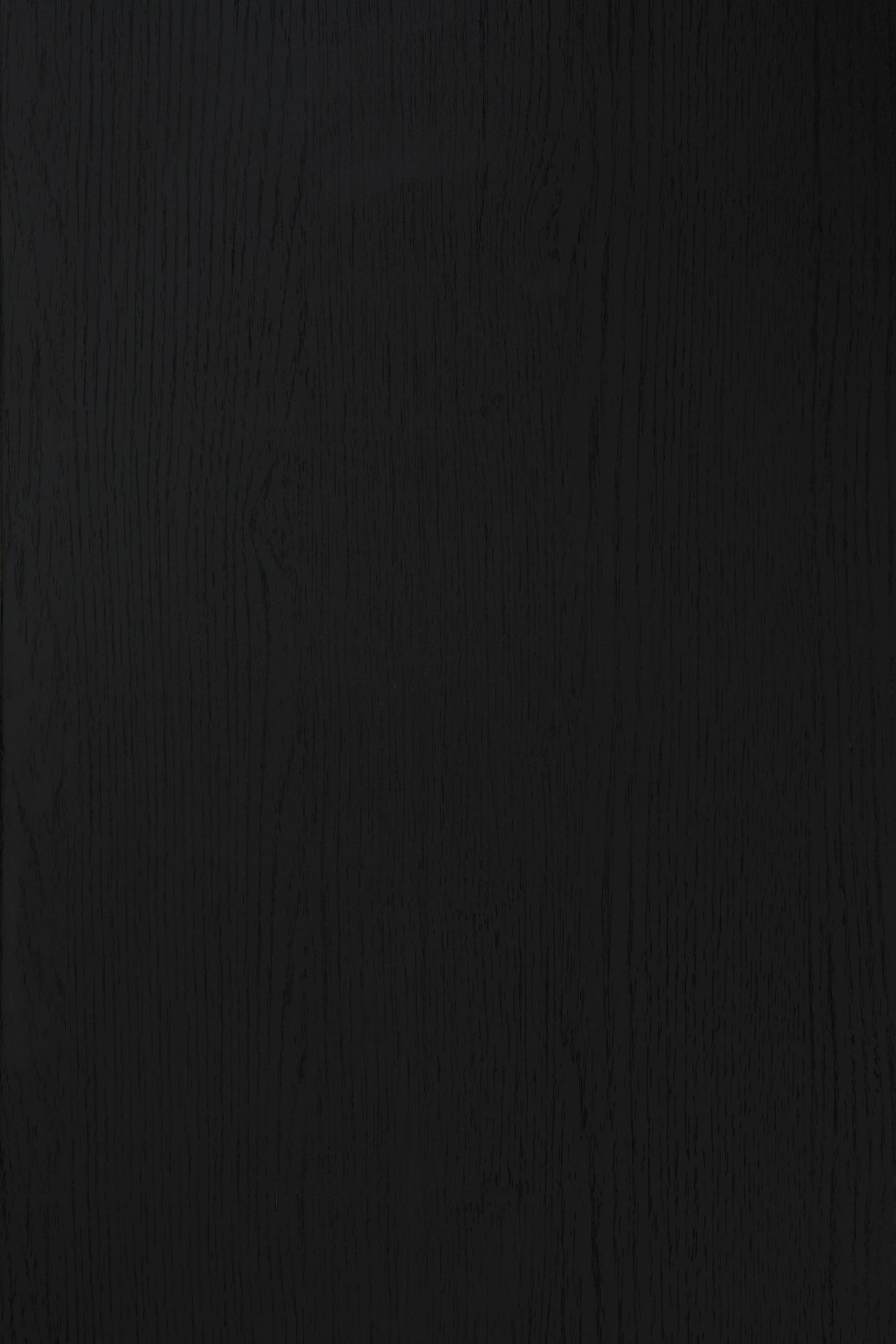 Raechalla Upholstered Panel Bed