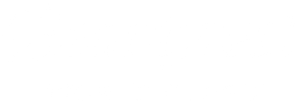 Beautyrest World Class Logo-WHITE