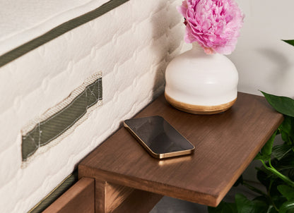 Avocado Walnut City Bed Frame