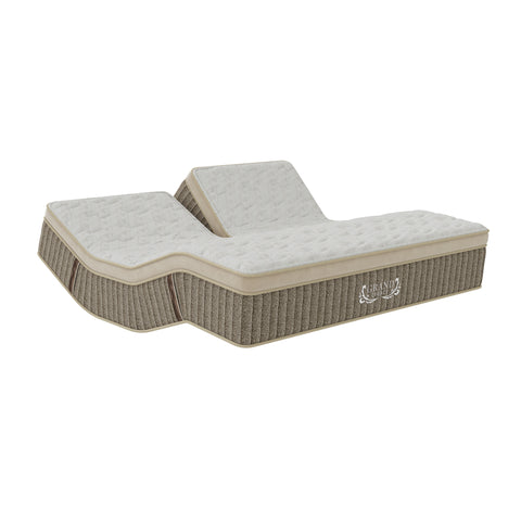 Grand Legacy Perfect Posture Plush Mattress with Individual Sleep