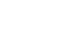 USA Assembled Icon