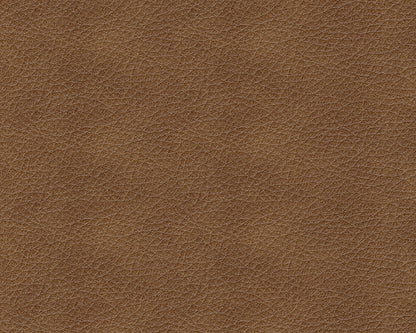 Trasimeno Power Reclining Sofa